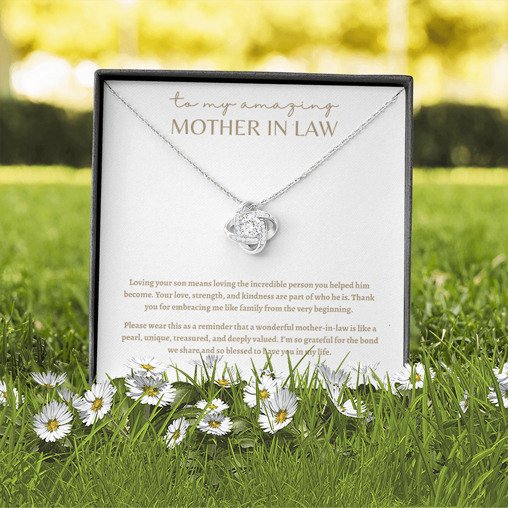 To My Amazing Mother in Law Necklace